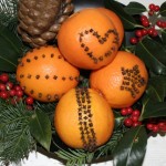 orangennelken_